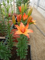 [5707 DJ AZ-06 No01.JPG]